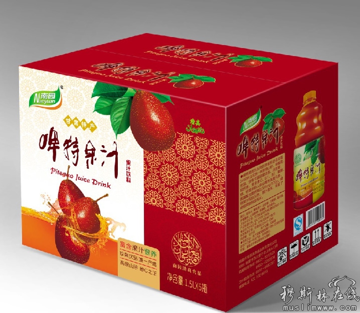 南园啤特果汁甘肃特产果品饮料